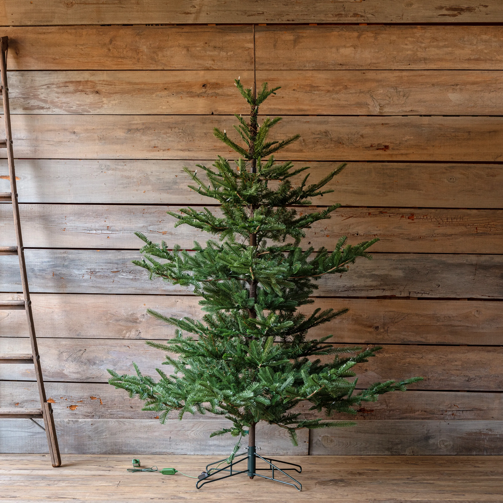 Porch View Home Nouveau Noble Fir Tree 7.5' with Dimmer Switch
