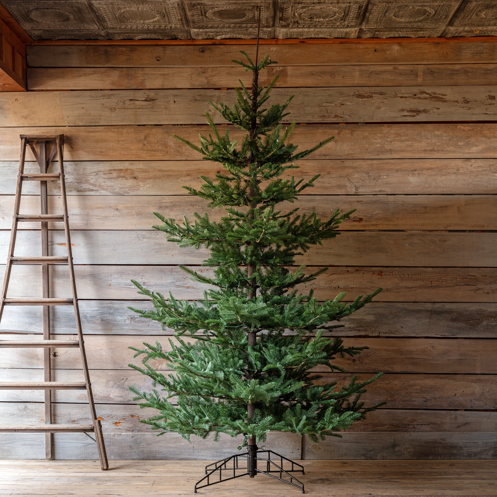 Porch View Home Nouveau Noble Fir Tree 12' with Dimmer Switch