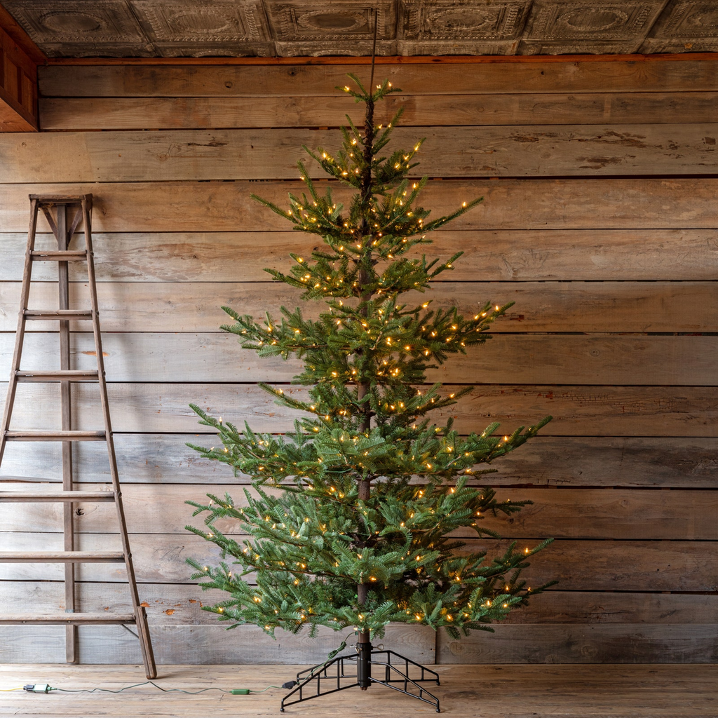 Porch View Home Nouveau Noble Fir Tree 12' with Dimmer Switch