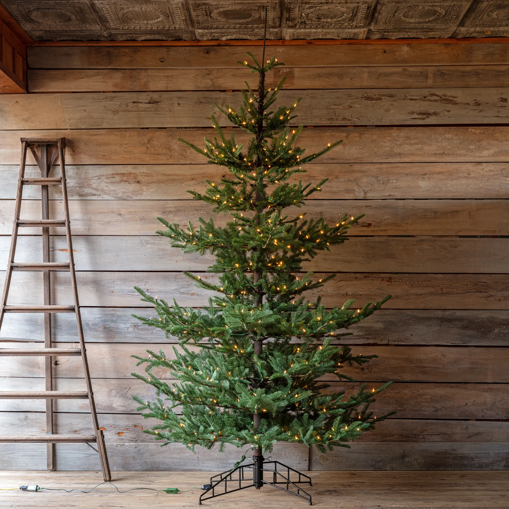 Porch View Home Nouveau Noble Fir Tree 12' with Dimmer Switch