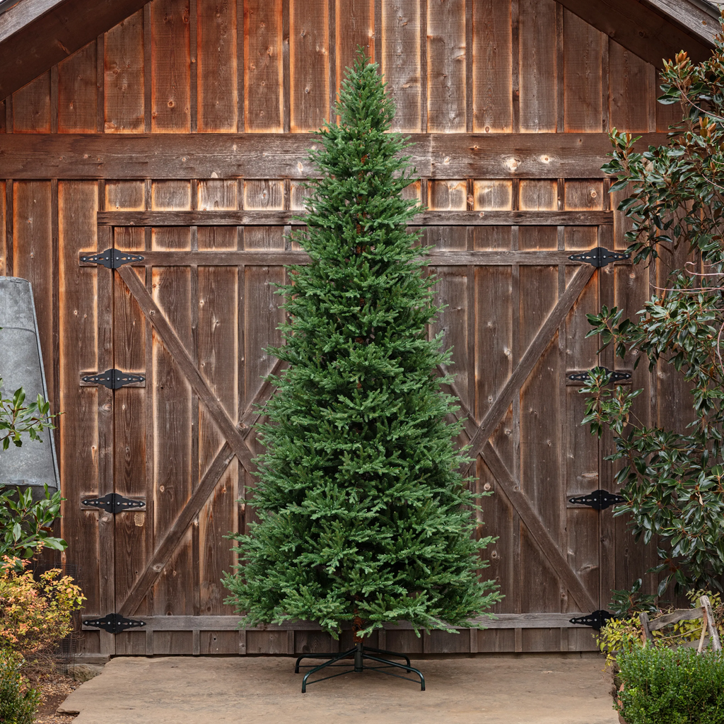 Porch View Home Olympia Fir Tree 12'