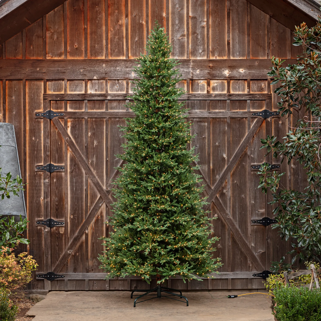 Porch View Home Olympia Fir Tree 12'