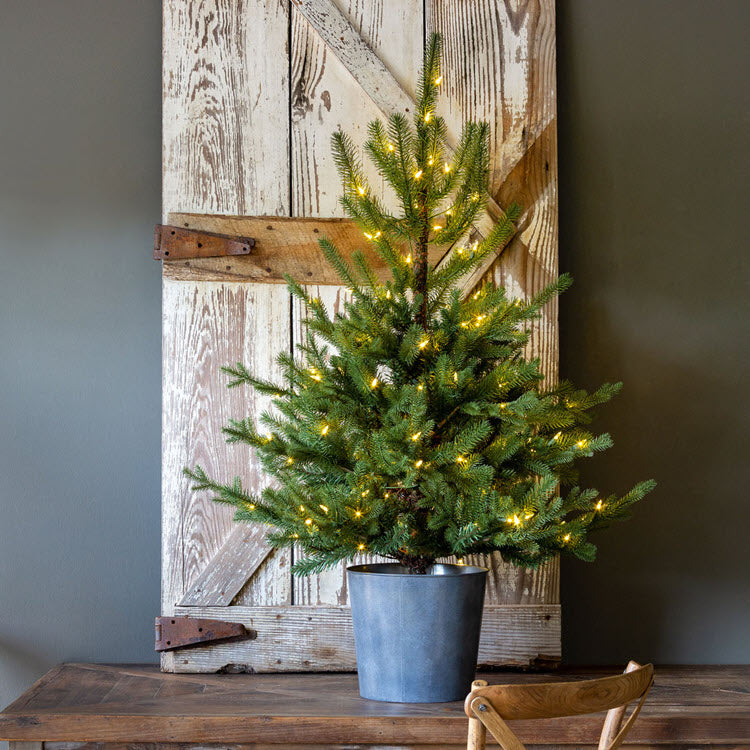 Potted Porch Fir Tree Lighted