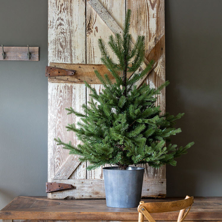 Potted Porch Fir Tree Lighted