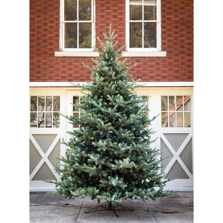 Park Hill Blue Spruce Christmas Tree 12'