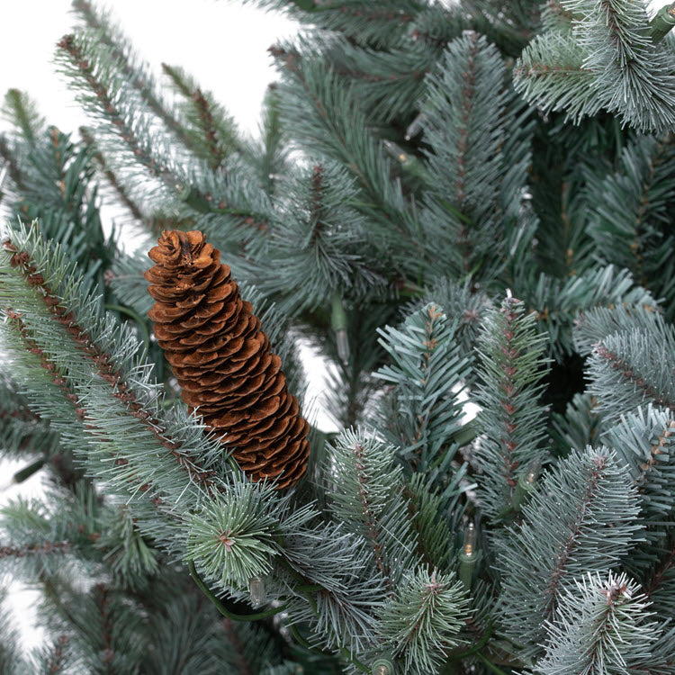 Park Hill Blue Spruce Christmas Tree 7.5'