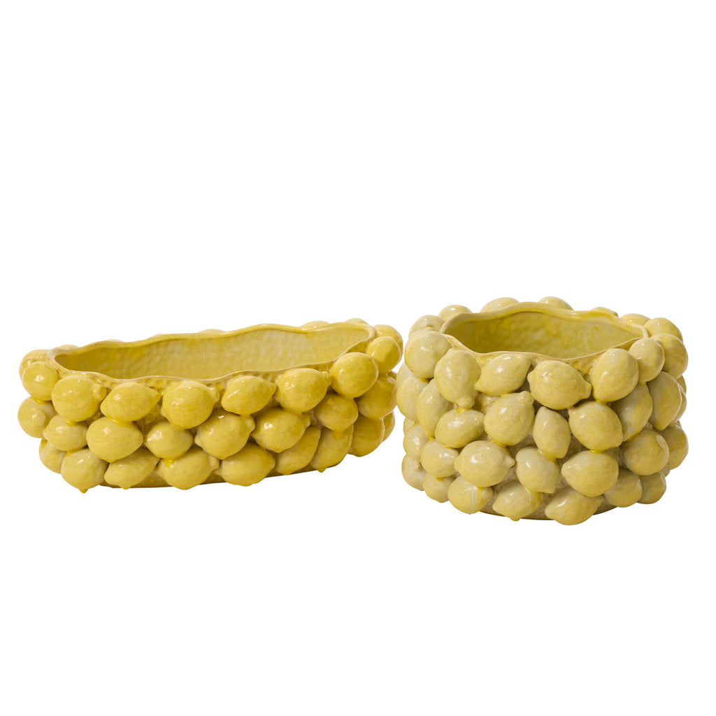 Layered Lemon Collection