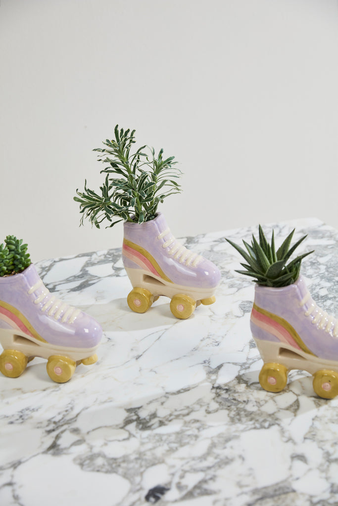 Rollerskate Planter