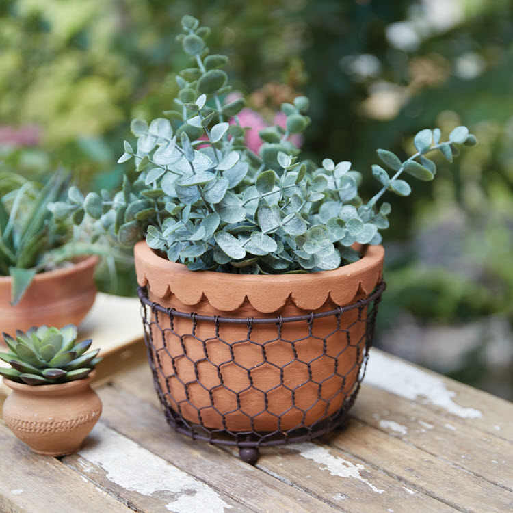 Chicken Wire Caddy with Scalloped Terracotta Pot