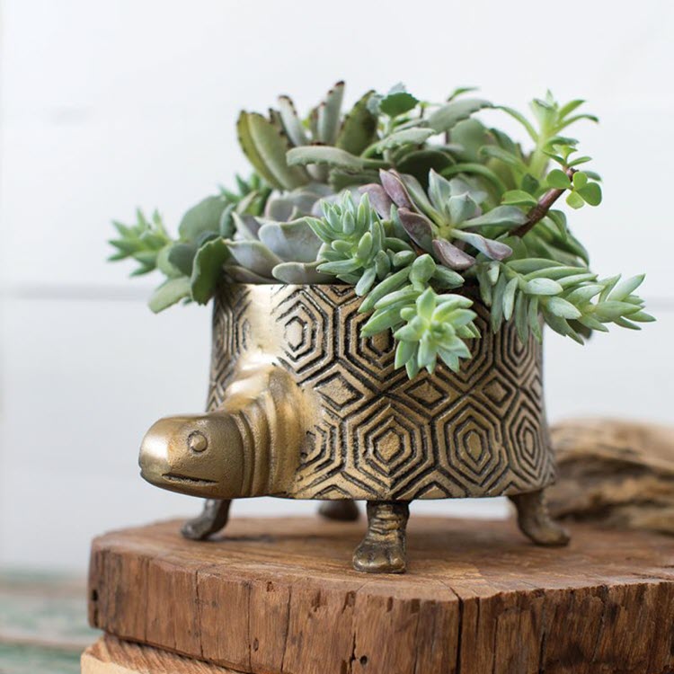 Turtle Shell Pot Accent Decor Tommie Turtle Pot (Two Sizes) – A Colorful Farmhouse