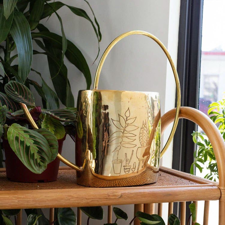 Bright Home Watering Can