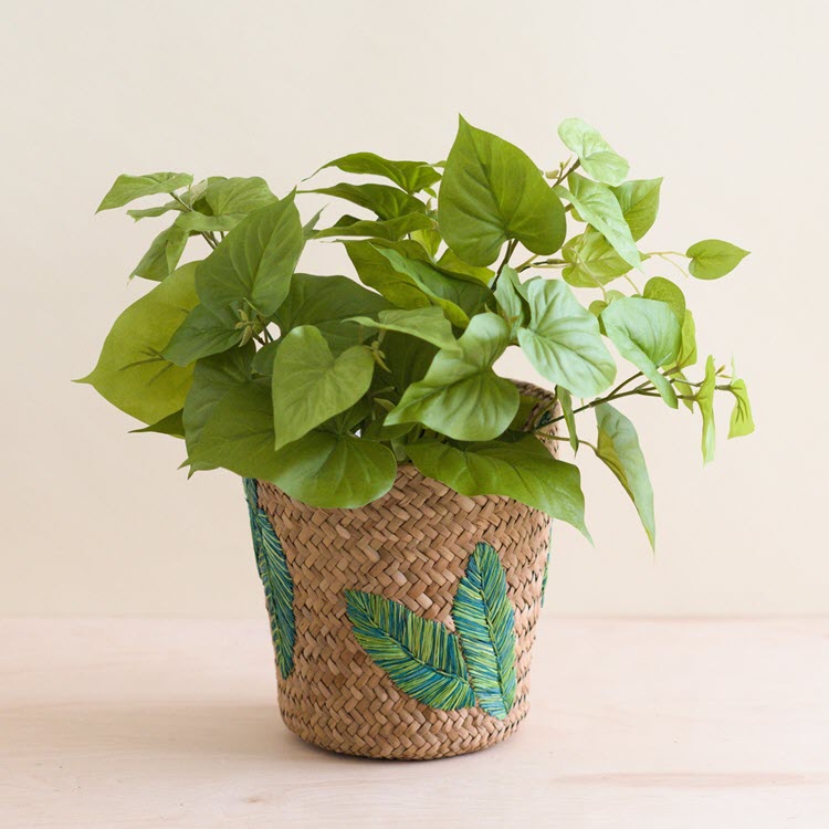 Banana Leaf Embroidered Soft Seagrass Planter Basket