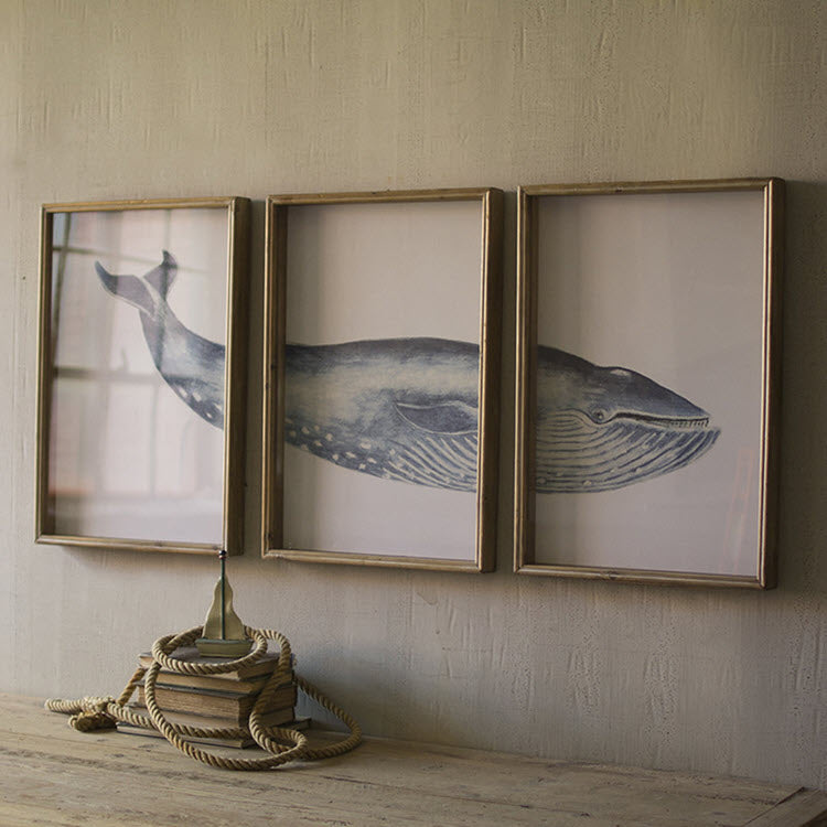 Triptych Framed Whale Print Under Glass