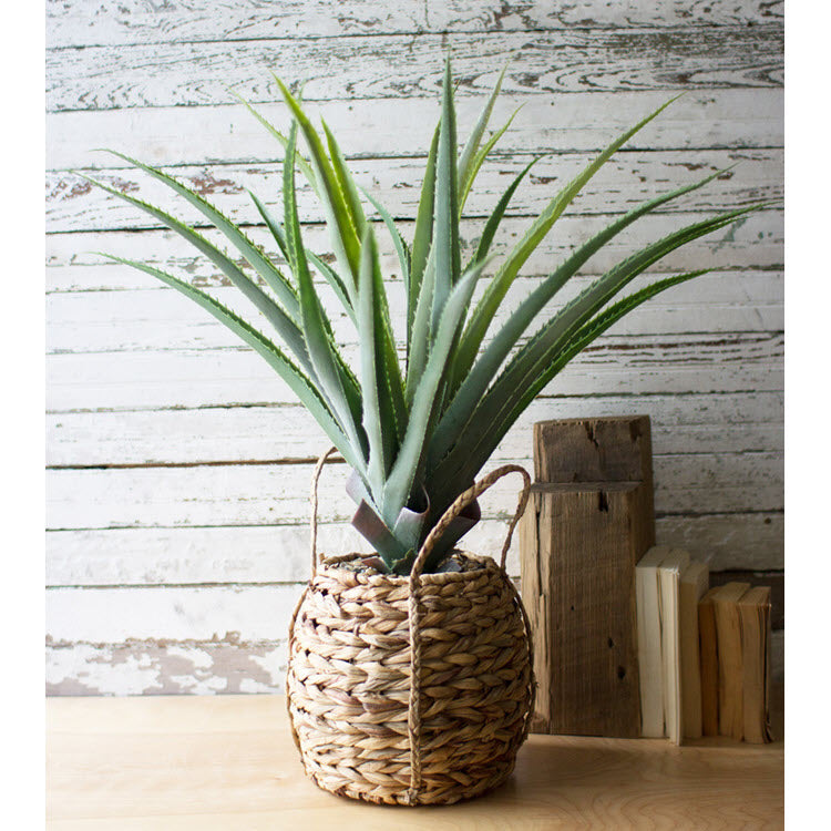 Artificial Aloe in Woven Seagrass Pot