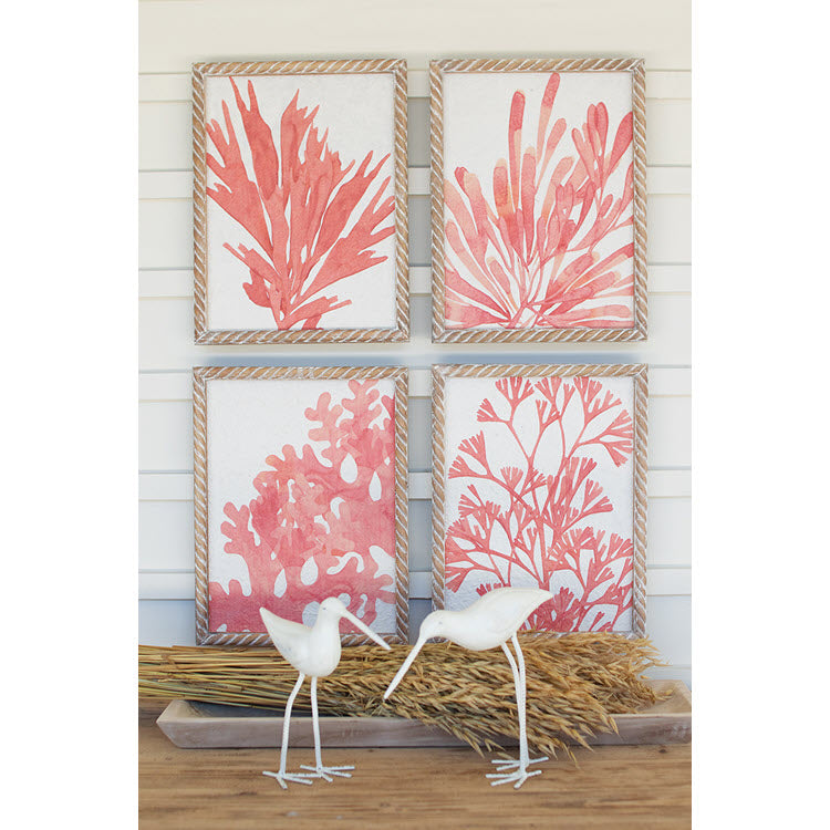 Coral Prints with Wooden Frames Set/4