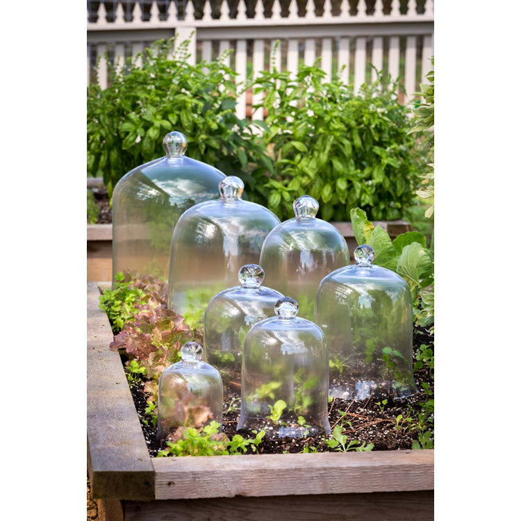 Bell Jar Extra Large