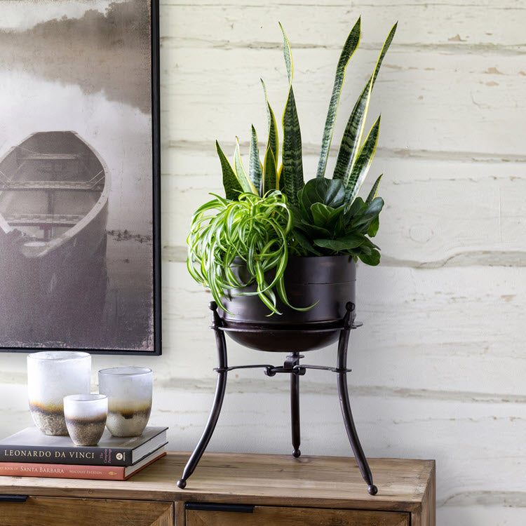 short indoor plant stands Park Hill Portal Metal Stand and Pot Short