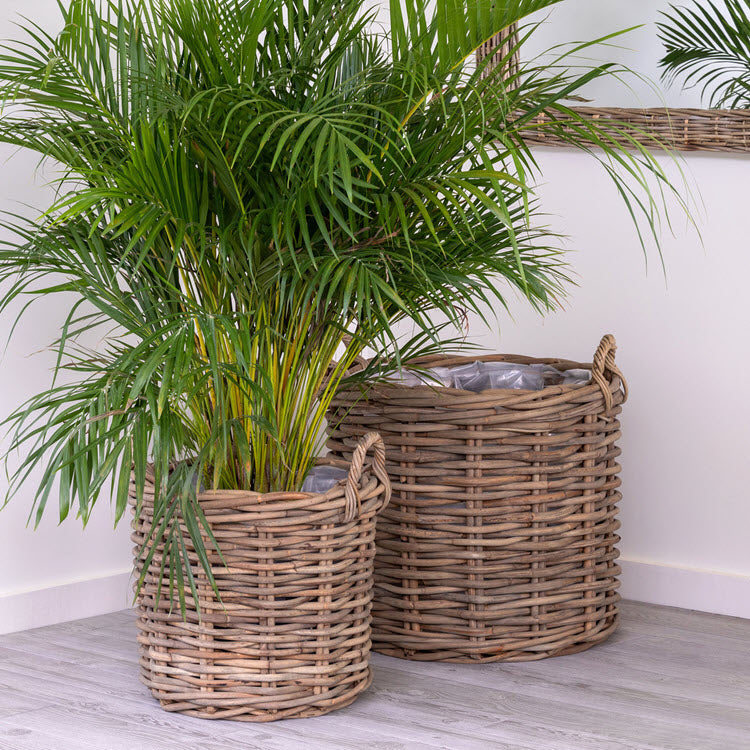 Colorful Ratten Basket Baskets – A Colorful Farmhouse