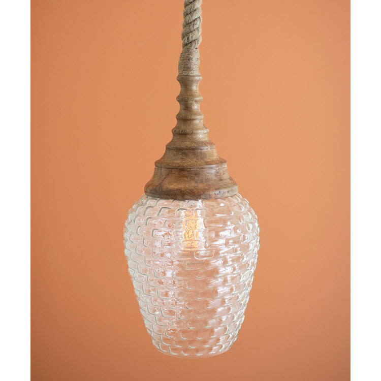 Clear Glass and Mango Wood Pendant Light with Rope