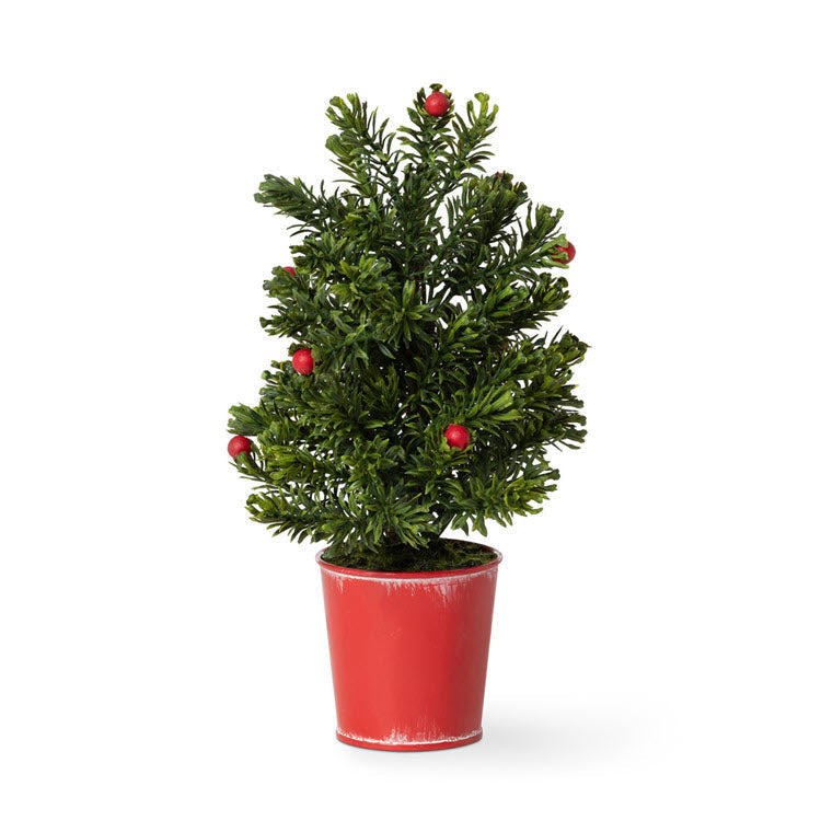 Mini Spruce Tree in Red Bucket Set/12