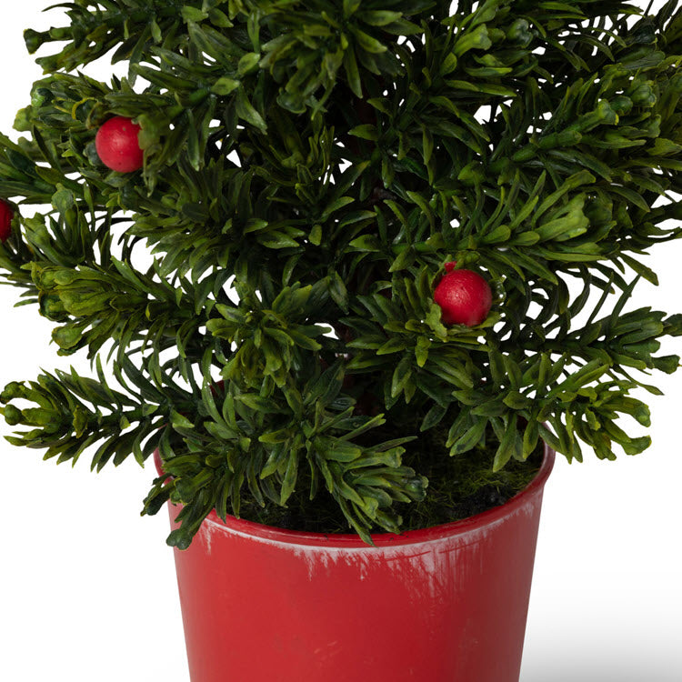 Mini Spruce Tree in Red Bucket Set/12